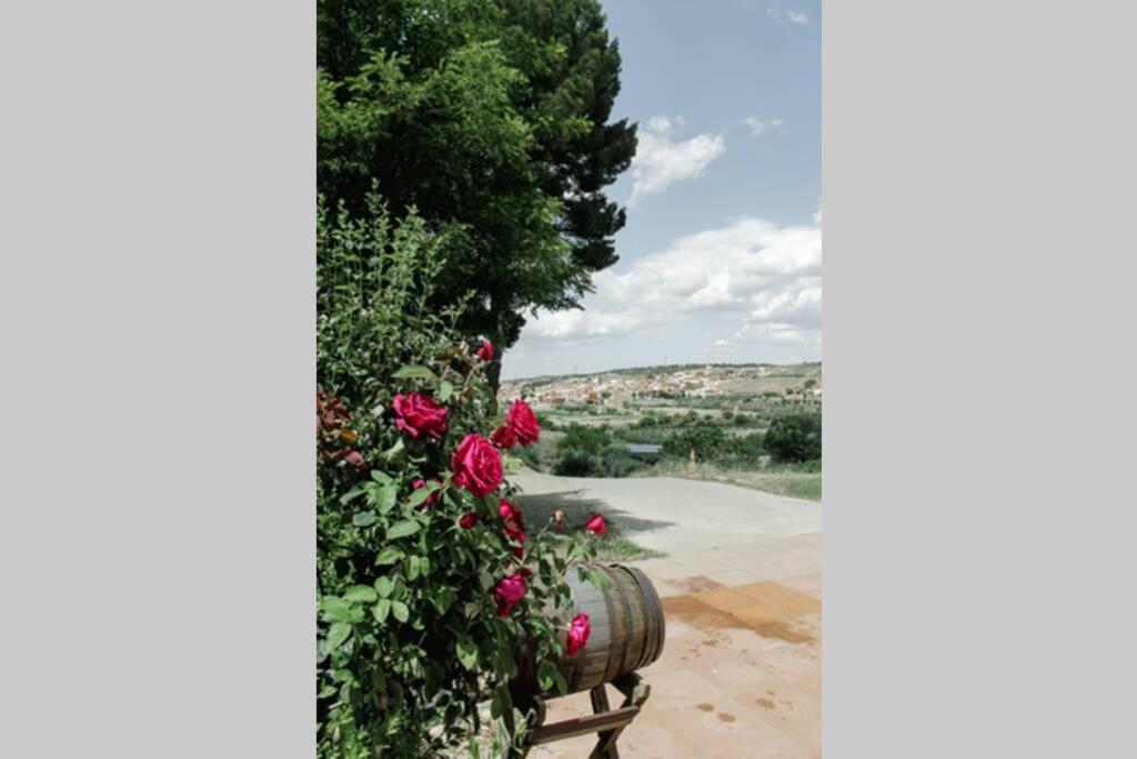 Villa Casa Cueva Piena, Alcudia De Guadix Esterno foto